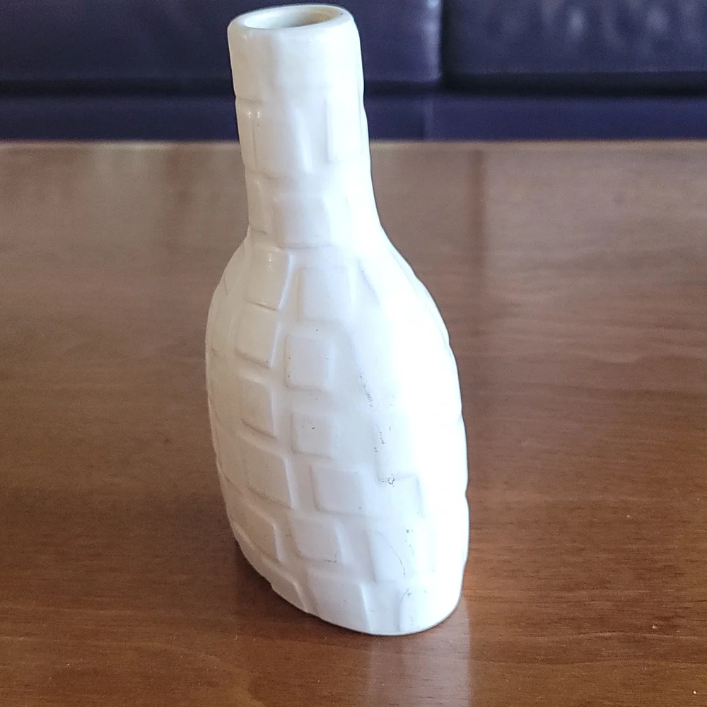 Pot-A-Porter Jonathan Adler vase